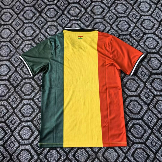 Ghana Special Edition Fans Football Jersey 2026/2027