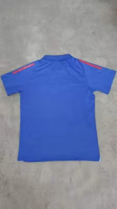 Italy Special Edition POLO Fans Football Jersey 2023/2024