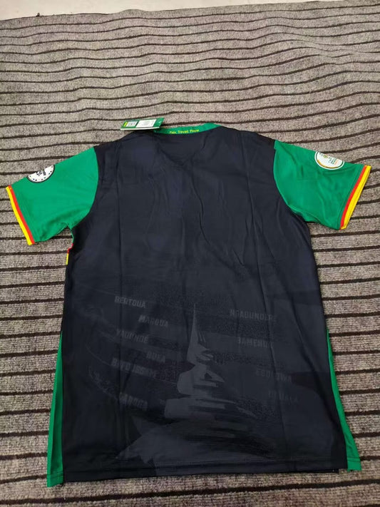 Cameroon Training Clothes Fans Football Jersey 2025/2026