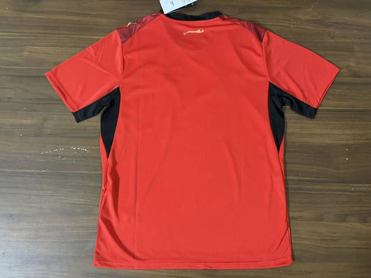Egypt Home Fans Football Jersey 2026/2027