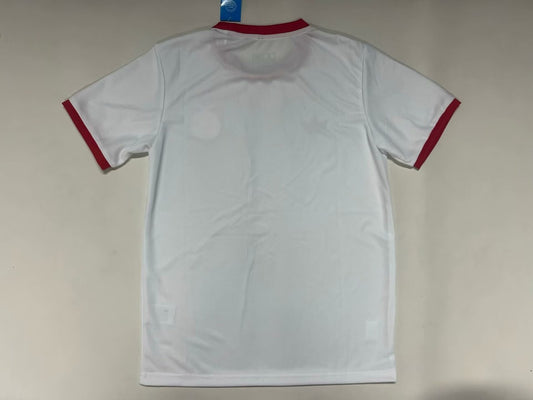 Benfica Training Anniversary Edition Fans Football Jersey 2025/2026