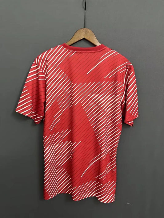Japan Pre-competition Fans Football Jersey 2022/2023