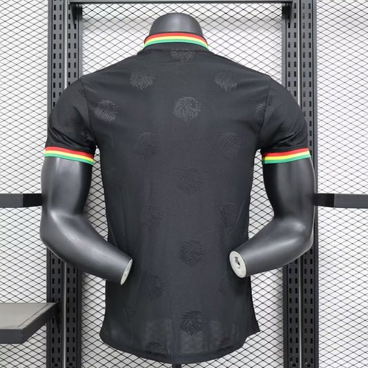 Senegal Special Edition Player Football Jersey 2024/2025