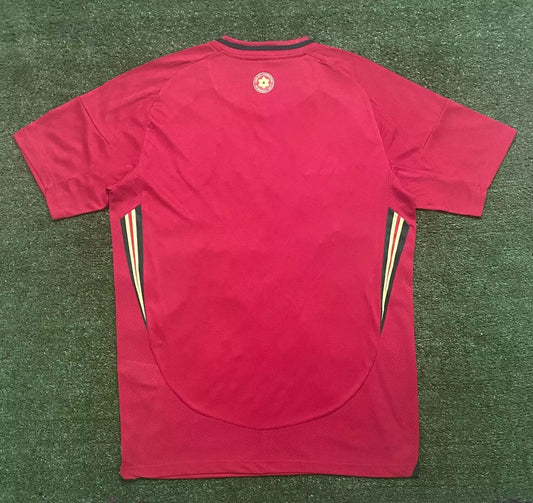 Welsh Home Fans Football Jersey 2024/2025