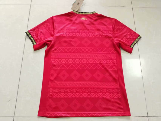 Brazil Special Edition Red Fans Football Jersey 2025/2026