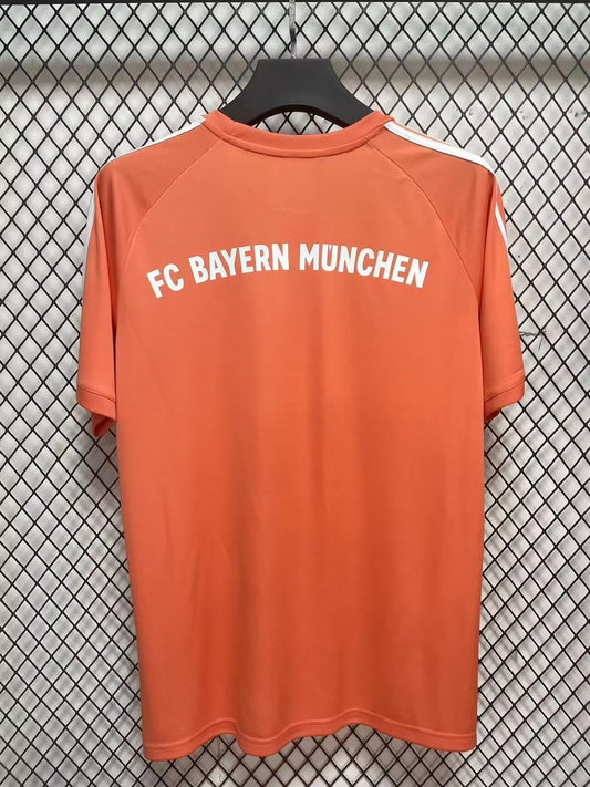 Bayern Munich Special Edition Fans Football Jersey 2024/2025