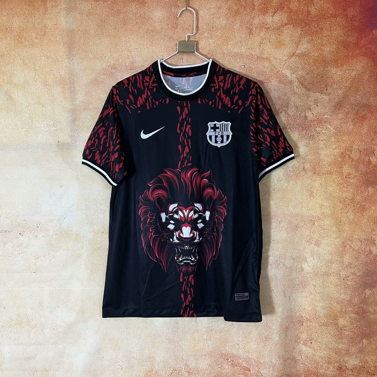 Barcelona Special Edition Fans Football Jersey 2024/2025