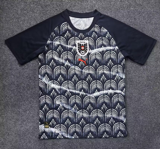 Austria Training Special Edition Fans Football Jersey 2025/2026