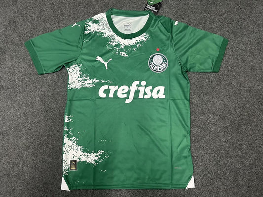 Palmeiras Special Edition Fans Football Jersey 2024/2025