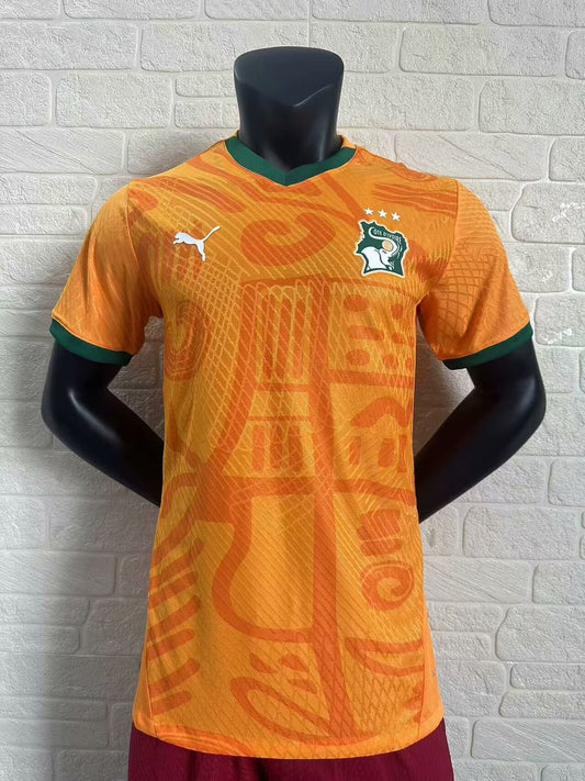 Ivory Coast Home Player Football Jersey 2024/2025