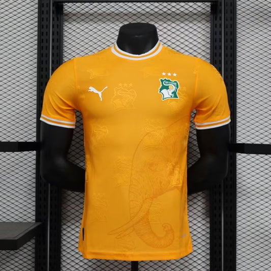 Ivory Coast Home Player Football Jersey 2025/2026