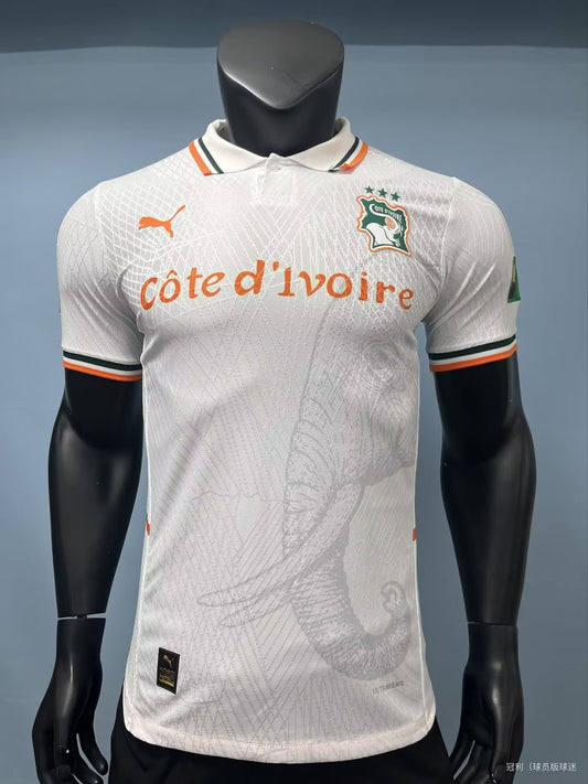 Ivory Coast Special Edition Player Football Jersey 2026/2027