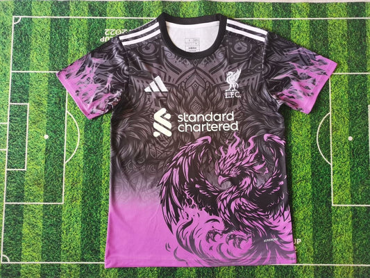 Liverpool Special Edition Fans Football Jersey 2024/2025