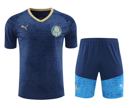 Palmeiras Training Clothing Set Football Jersey 2024/2025
