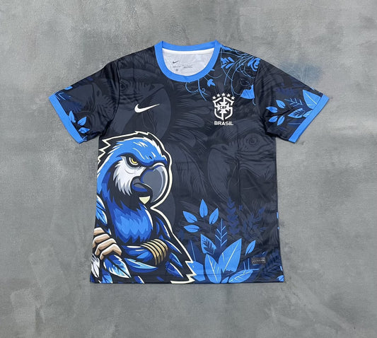 Brazil Special Edition Fans Football Jersey 2025/2026