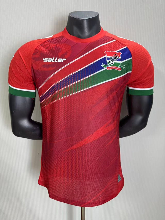 Gambia Away Player Football Jersey 2026/2027