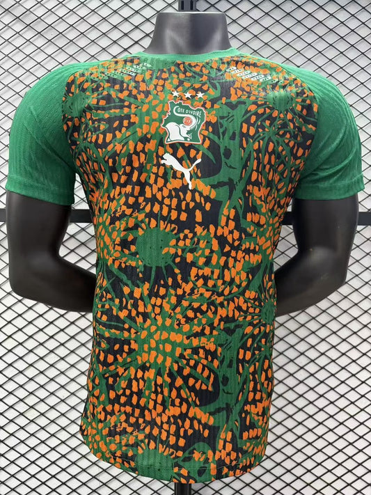 Ivory Coast Special Edition Player Football Jersey 2026/2027