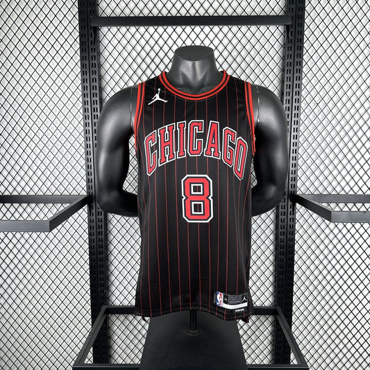 Chicago Bulls JORDAN Black #8 LAVINE NBA Jerseys 2026