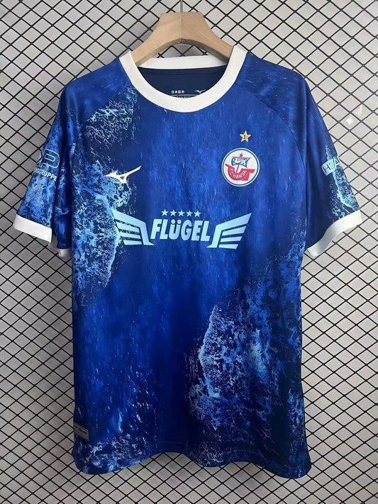 Hansa Rostock Special Edition Fans Football Jersey 2025/2026