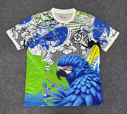 Brazil Special Edition Fans Football Jersey 2025/2026