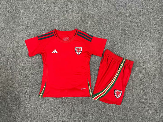 Welsh Home Kids Football Jersey 2024/2025