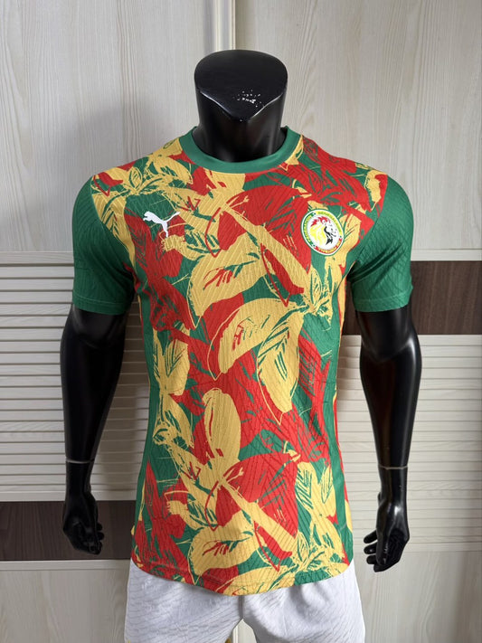 Senegal Special Edition Player Football Jersey 2025/2026