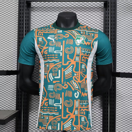 Ivory Coast Training Clothes Player Football Jersey 2024/2025