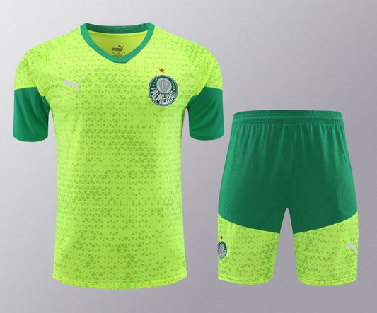 Palmeiras Training Clothing Set Football Jersey 2024/2025