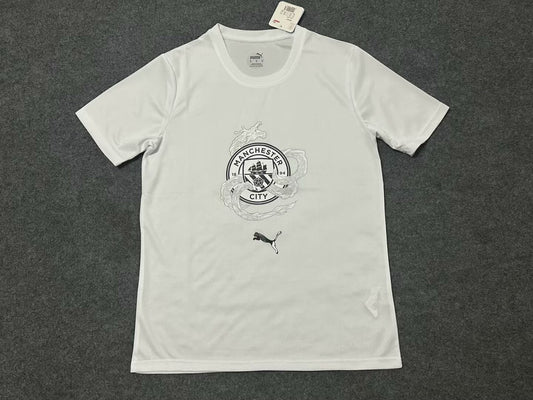 Manchester City Special Edition Fans Football Jersey 2024/2025