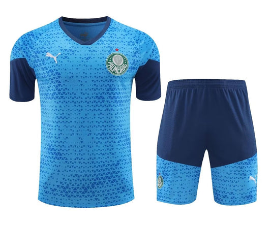 Palmeiras Training Clothing Set Football Jersey 2024/2025