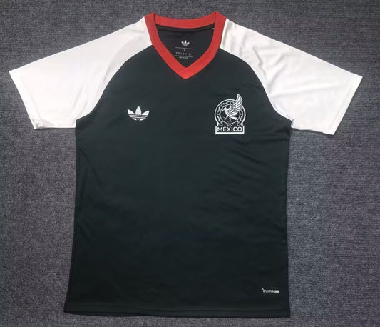 Mexico Training Special Edition Fans Football Jersey 2026/2027