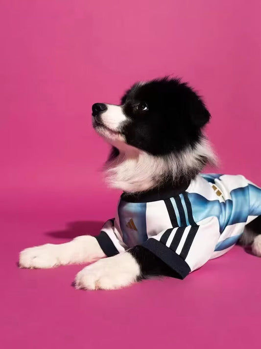 Argentina Home Dog Pet Player Football Jersey 2026/2027