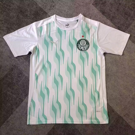 Palmeiras Training Fans Football Jersey 2025/2026