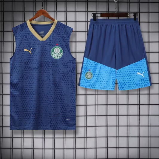 Palmeiras Training Clothing Vest Set Football Jersey 2024/2025