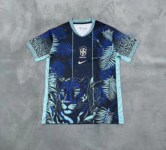 Brazil Special Edition Fans Football Jersey 2025/2026