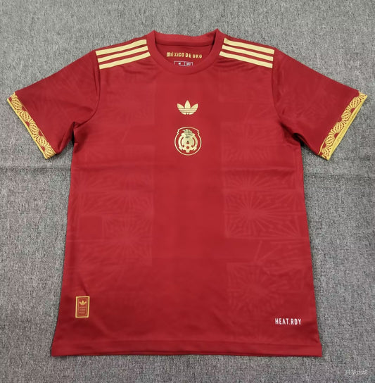 Mexico Special Edition Fans Football Jersey 2025/2026