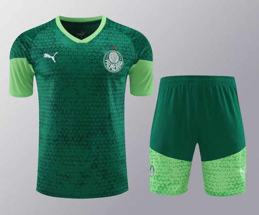 Palmeiras Training Clothing Set Football Jersey 2024/2025