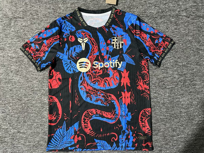 Barcelona Special Edition Fans Football Jersey 2025/2026