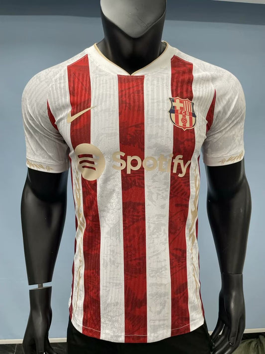 Barcelona Special Edition Fans Football Jersey 2025/2026
