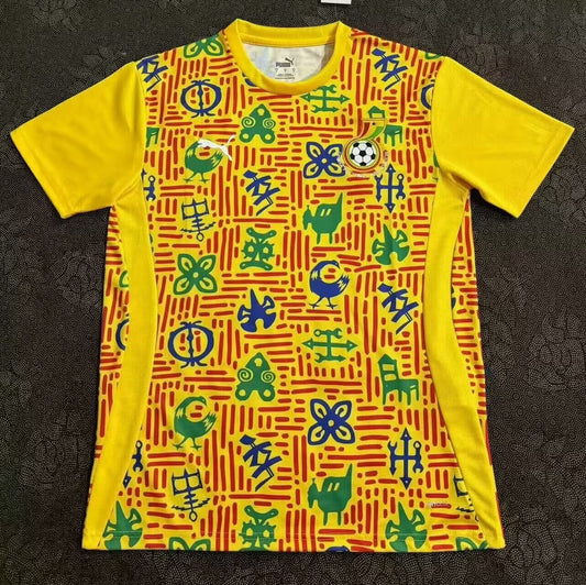 Ghana Training Clothing Fans Football Jersey 2024/2025