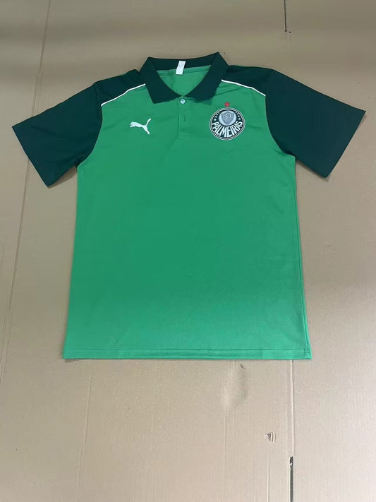 Palmeiras Special Edition Fans Football Jersey 2024/2025