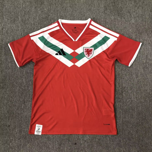 Wales Special Edition Fans Red Football Jersey 2026/2027
