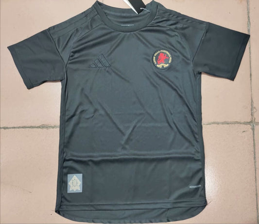 Aston Villa 150 Year Fans Football Jersey 2024/2025