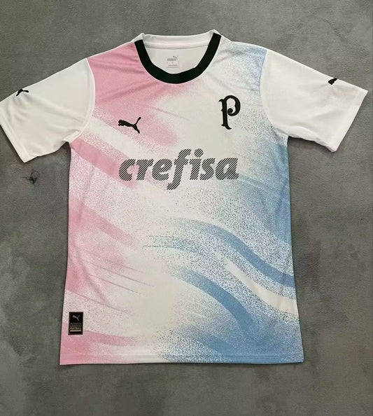 Palmeiras Special Edition Fans Football Jersey 2023/2024