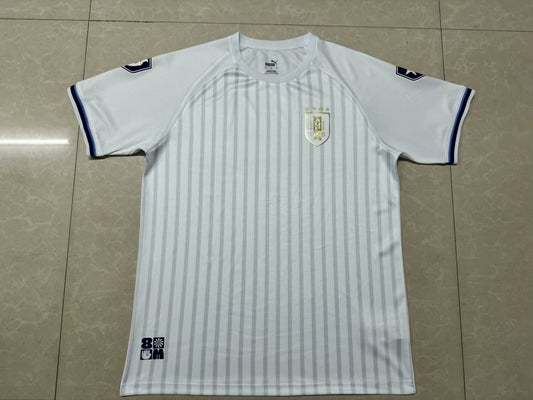 Uruguay Special Edition Fans Football Jersey 2024/2025