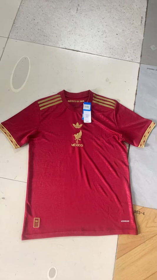 Mexico Special Edition Fans Football Jersey 2025/2026