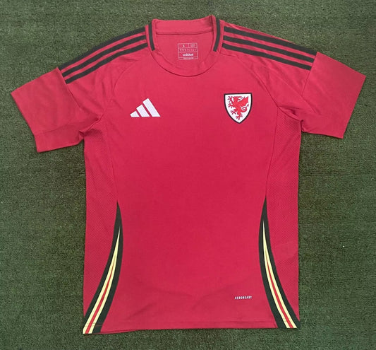 Welsh Home Fans Football Jersey 2024/2025