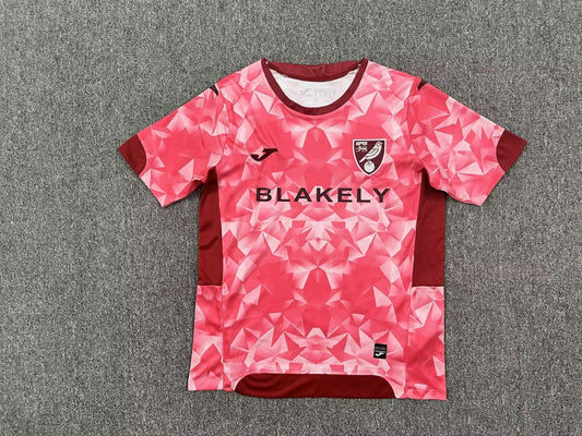 Norwich Third Away Fans Football Jersey 2025/2026