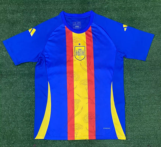 Spain Training Clothing Fans Football Jersey 2024/2025