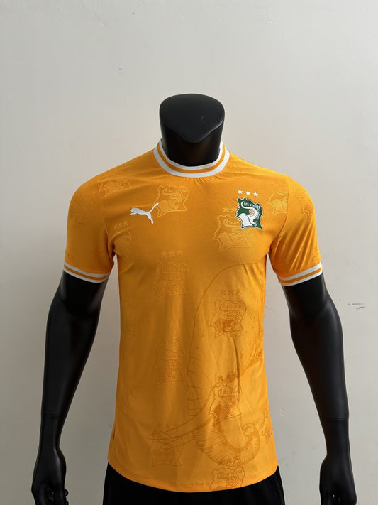 Cote DIvoire Home Player Football Jersey 2025/2026